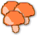 なめこ
